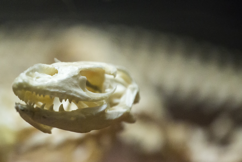 13120814535_30a7c0bf34_o_d